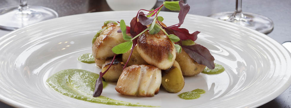 Dine-Main-1 Dine-Main-1