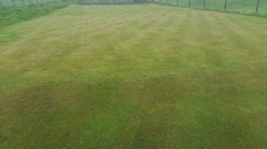 How our turf nursery used to look...