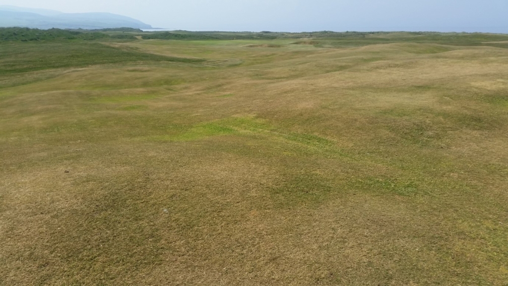 The approach into the 2nd green. There can`t be more than 1 or 2% moisture in these fairways, but as soon as it rains they`ll green right back up again. And it will rain. It is Scotland after all!!