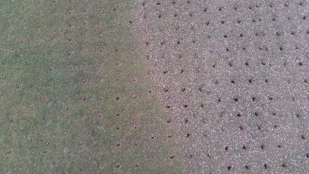 You can see how much seed and sand has fallen into the holes here. By the time I had switched the green and Craig had rolled it, there wasn’t much material left on the surface.