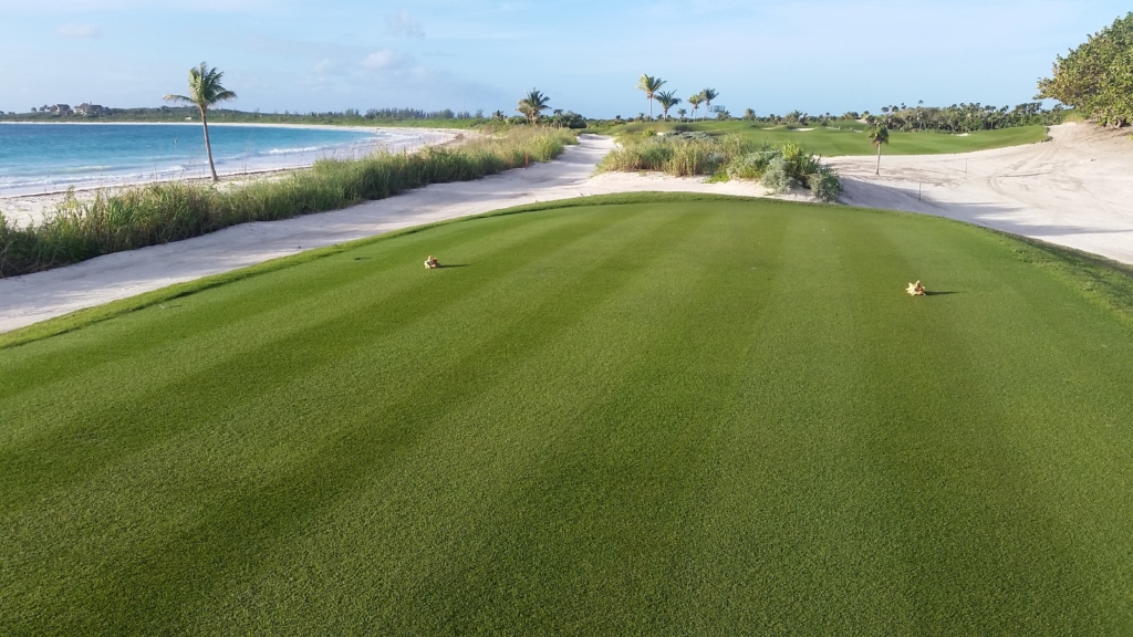There are many spectacular holes at Abaco, but the driveable par-4 5th is a brilliant piece of architecture as well as being a bit special to look at. It has every base covered!