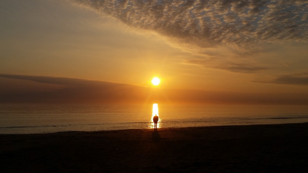 Here is the sunset that I promised you earlier. It’s great to be able to finish work and go straight to the beach to end the day with a view like this!